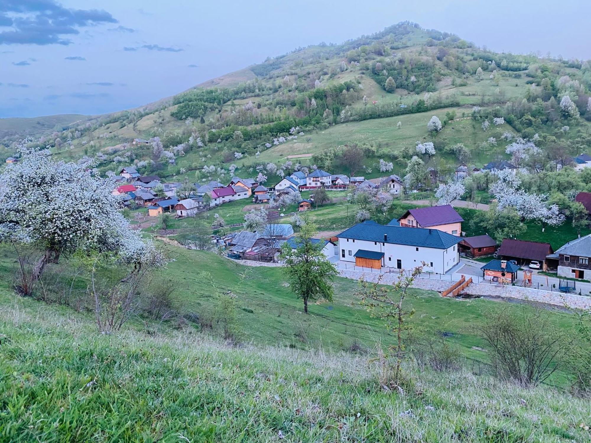 Pensiunea Suci Botiza Zewnętrze zdjęcie