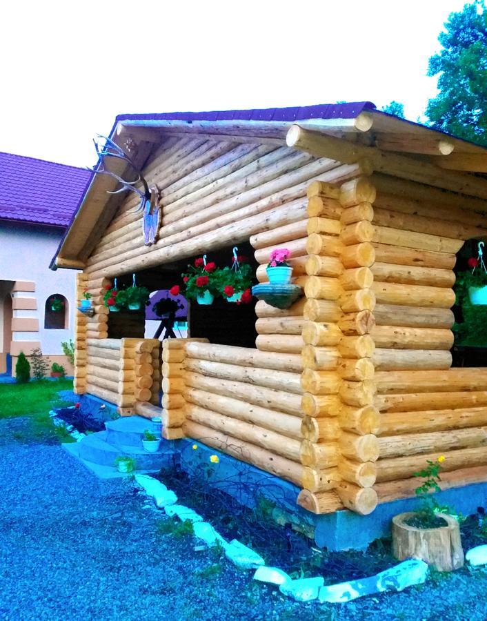 Pensiunea Suci Botiza Zewnętrze zdjęcie